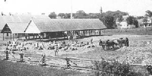 Northern Maine Packing Company
